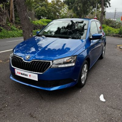 Skoda Fabia. Vehículo de ocasión.