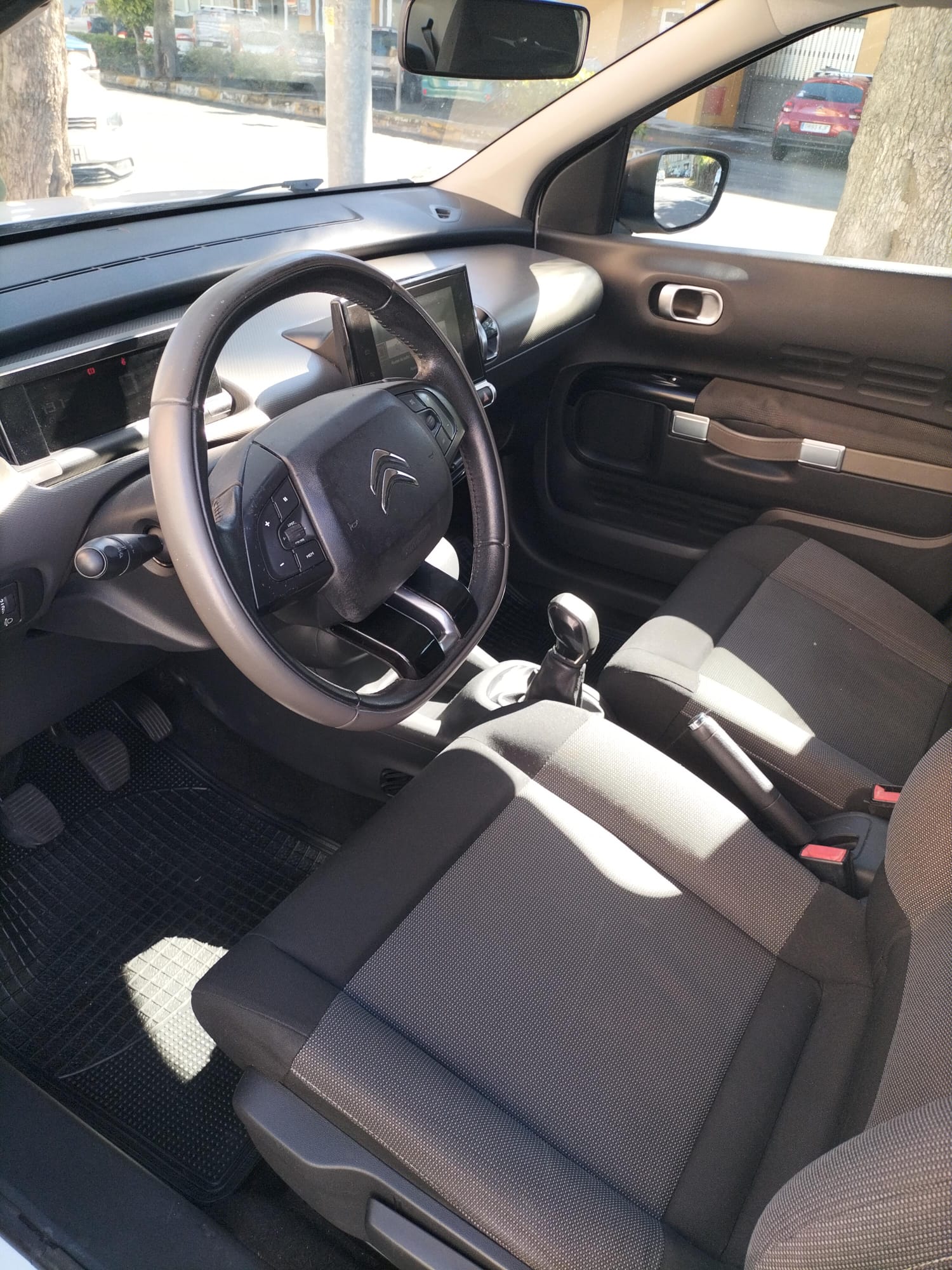 Citroen C4 Cactus. Vehículo ocasión.