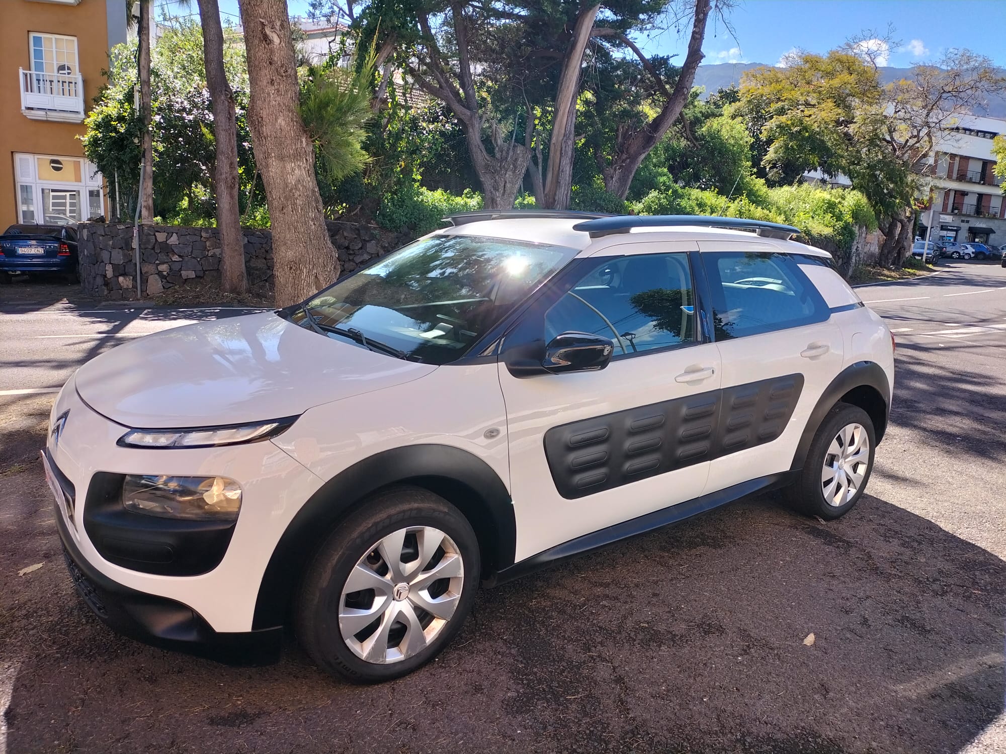 Citroen C4 Cactus. Vehículo ocasión.