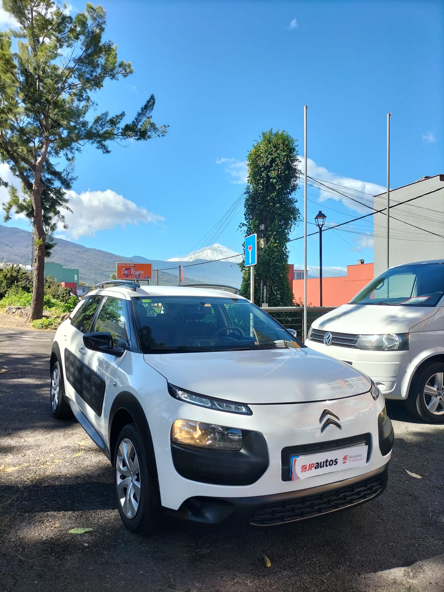 Citroen C4 Cactus. Vehículo ocasión.