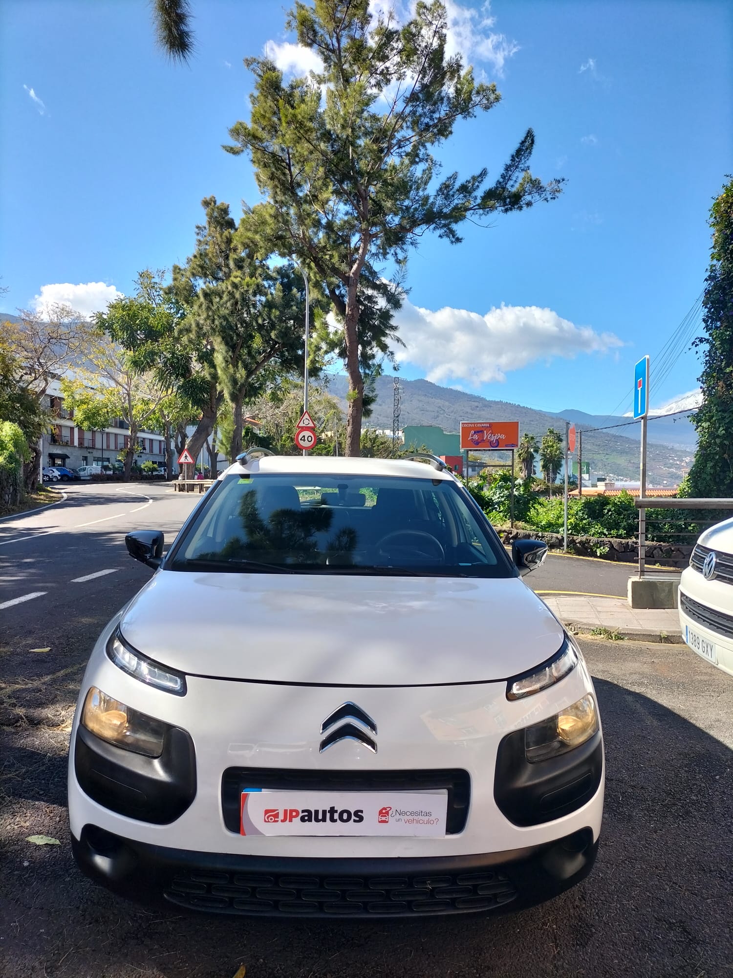 Citroen C4 Cactus. Vehículo ocasión.