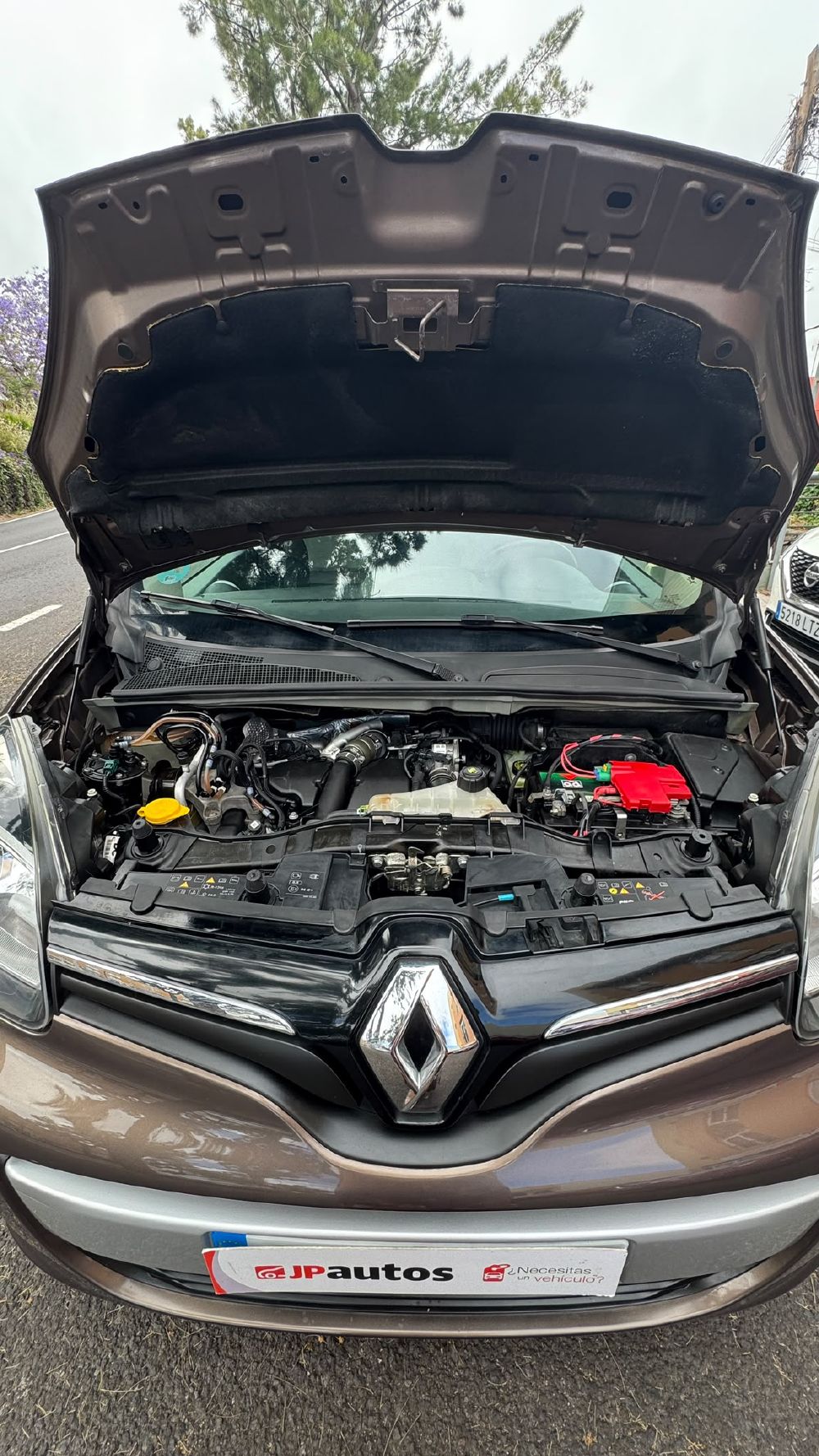 Renault Kangoo. Vehículo de ocasión.