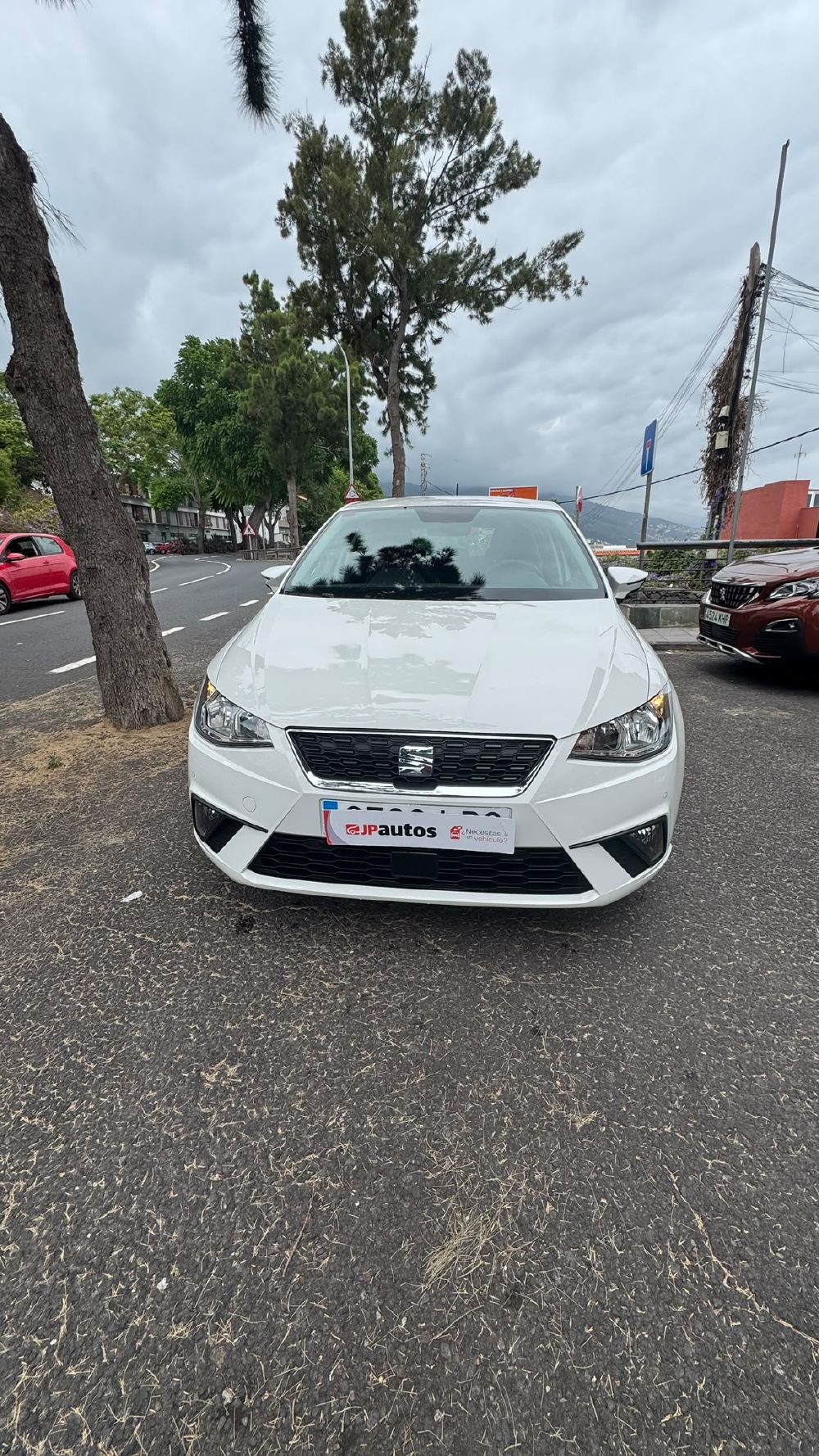 Seat Ibiza. Vehículo de ocasión.