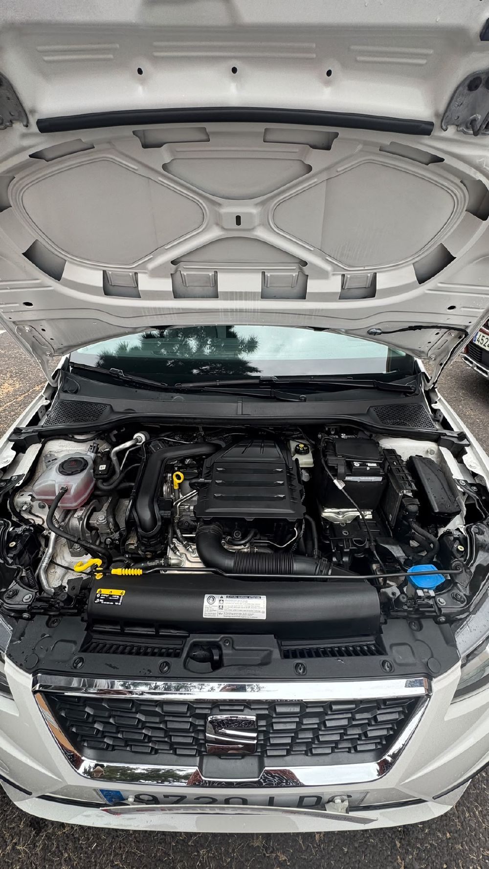Seat Ibiza. Vehículo de ocasión.
