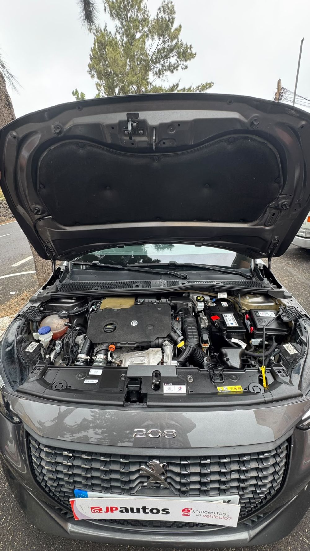 Peugeot 208. Vehículo de ocasión.